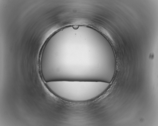 X0000091171087200708091018