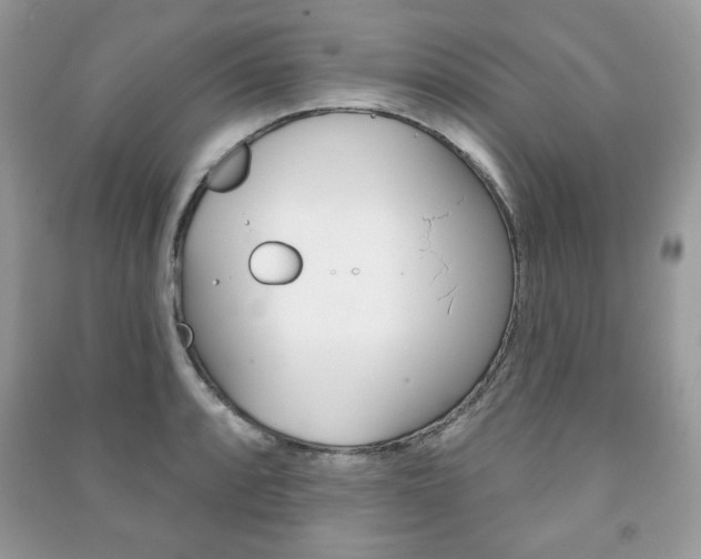 X0000091171088200708091018
