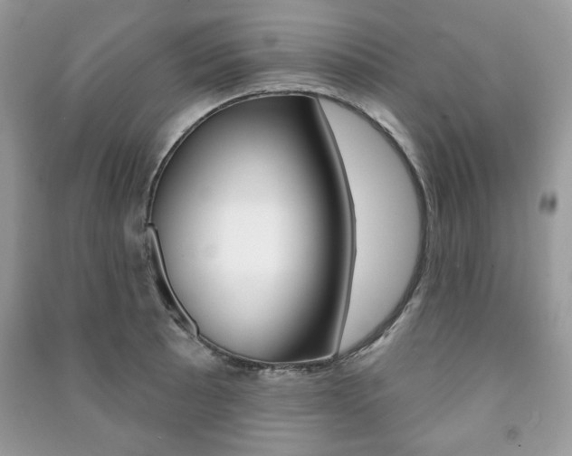 X0000091171089200708091018