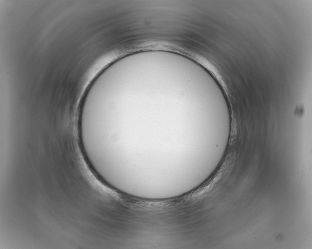 X0000091171090200708091018