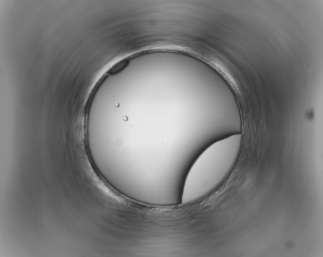 X0000091171092200708091018