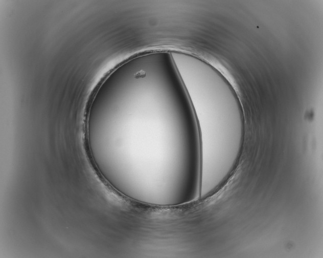 X0000091171093200708091018