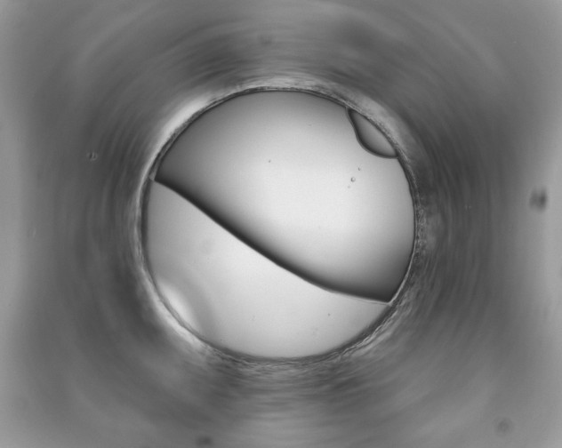X0000091171095200708091018
