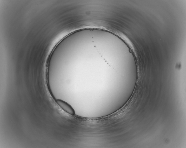X0000091171096200708091018