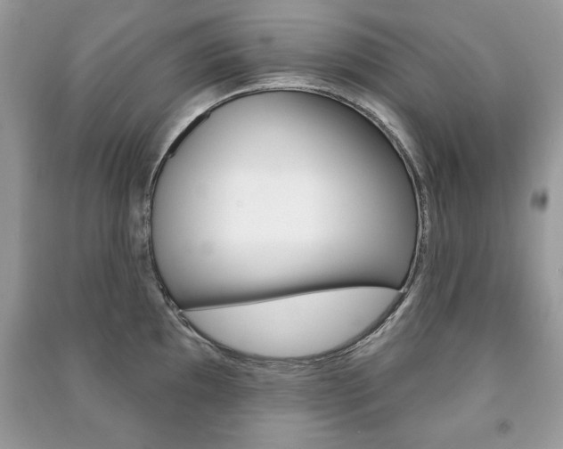 X0000091171097200708091018