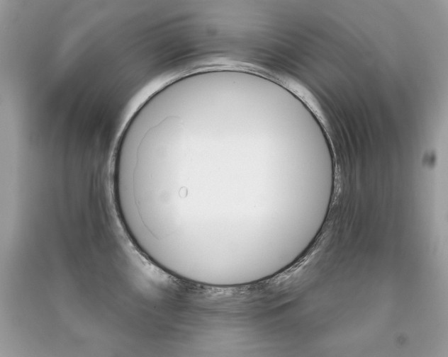 X0000091171098200708091018