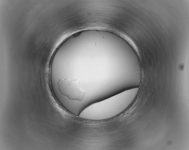 X0000091171099200708091018