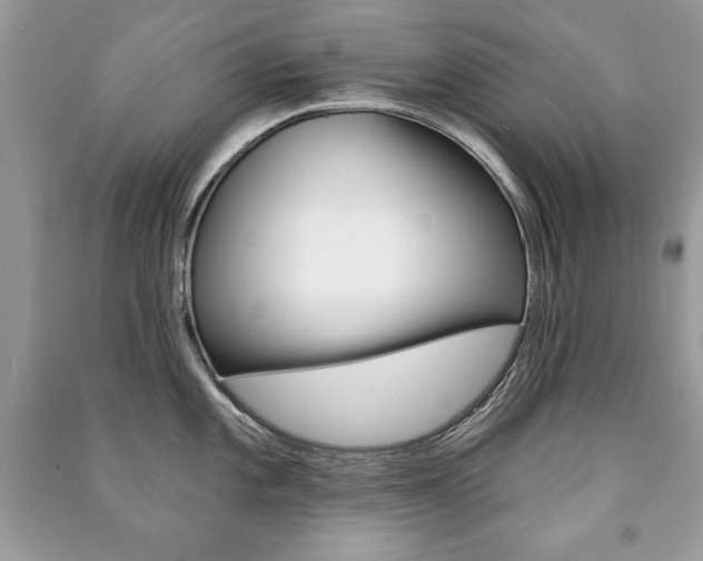 X0000091171101200708091018