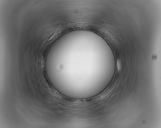 X0000091171107200708091018
