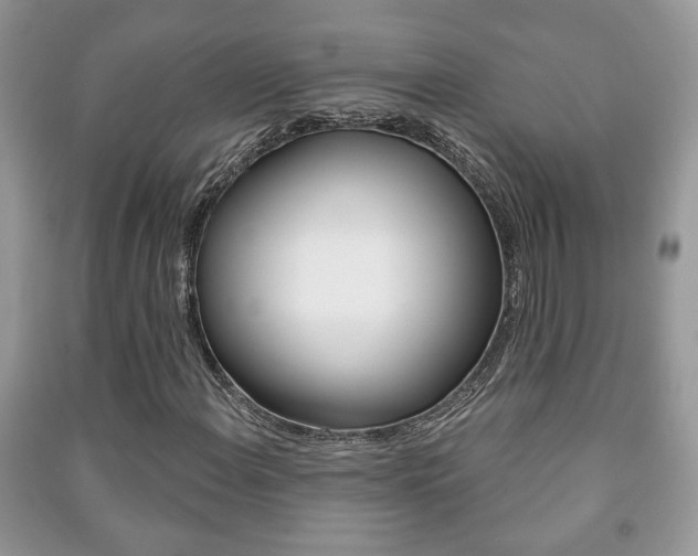 X0000091171108200708091018