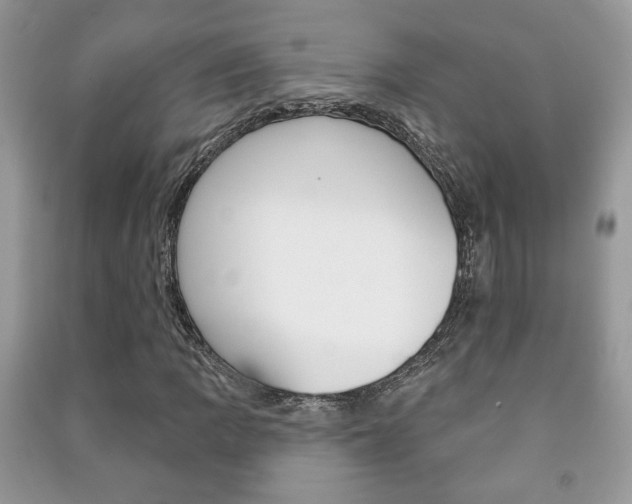 X0000091171109200708091018