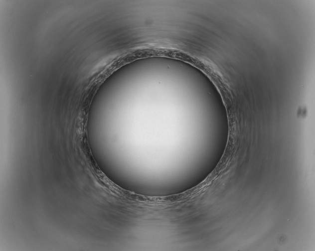 X0000091171110200708091018