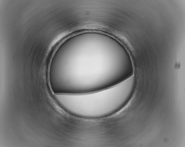 X0000091171114200708091018