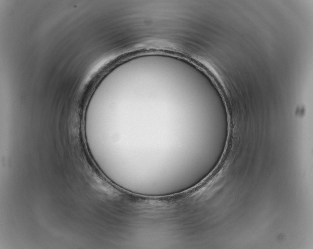 X0000091171115200708091018