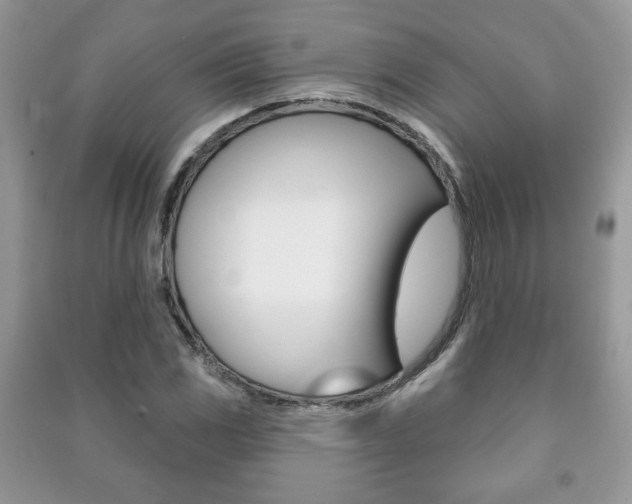 X0000091171117200708091018