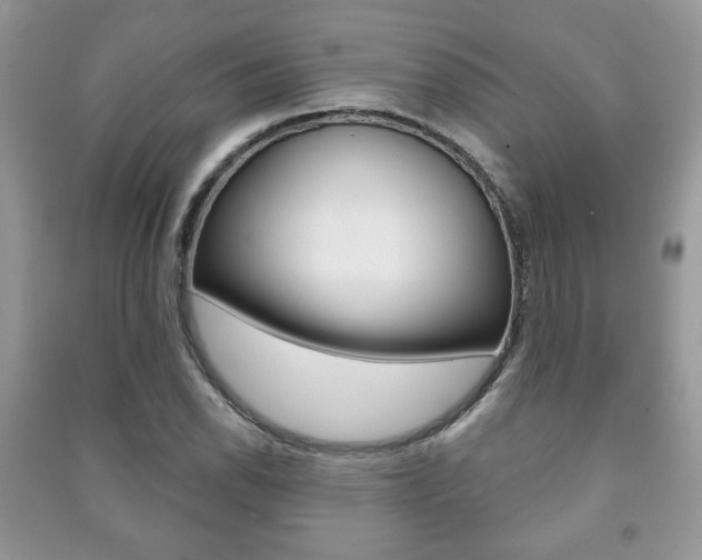 X0000091171118200708091018