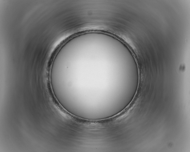 X0000091171119200708091018
