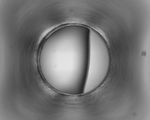 X0000091171120200708091018