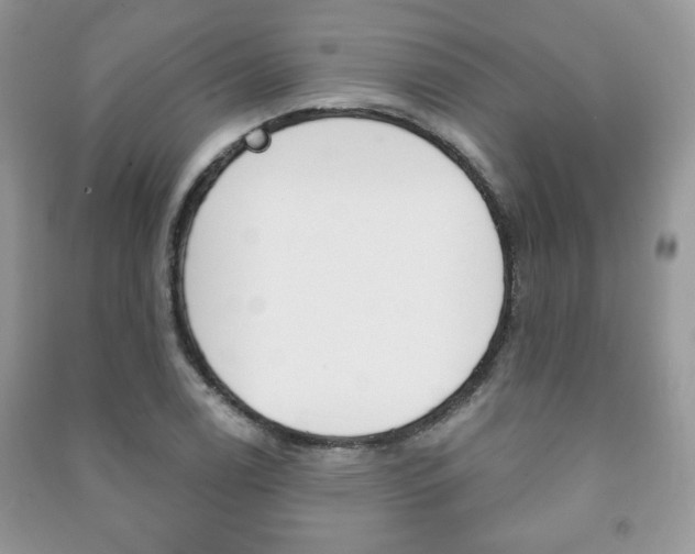 X0000091171122200708091018