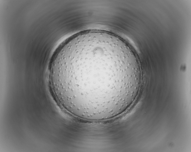 X0000091171125200708091018
