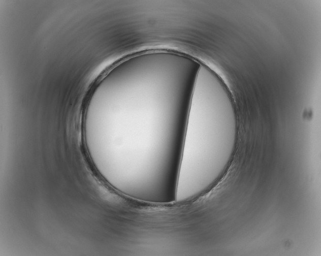 X0000091171127200708091018