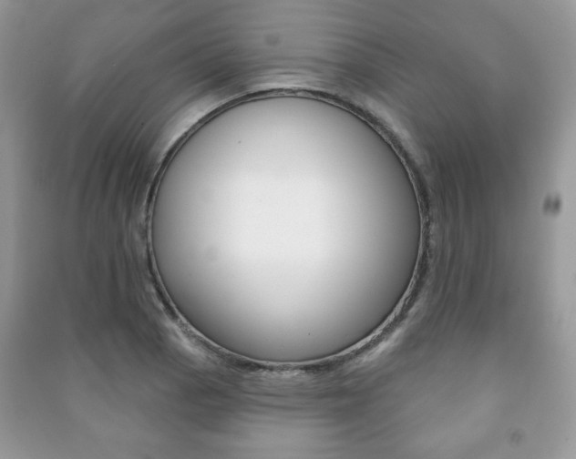 X0000091171129200708091018