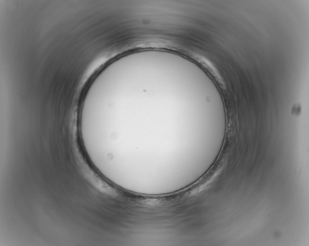 X0000091171130200708091018