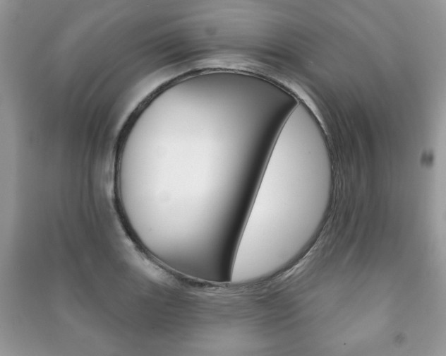 X0000091171131200708091018