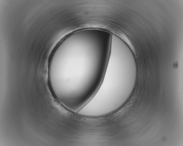 X0000091171132200708091018