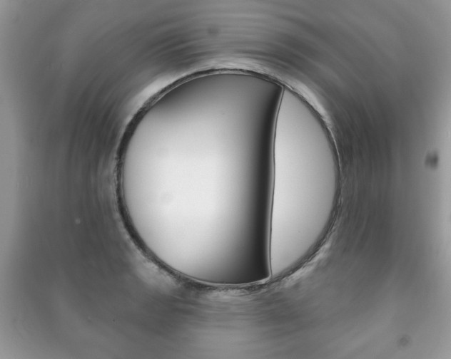 X0000091171133200708091018