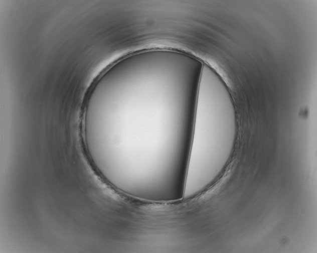 X0000091171134200708091018