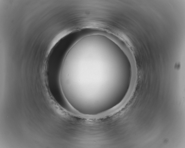 X0000091171138200708091018