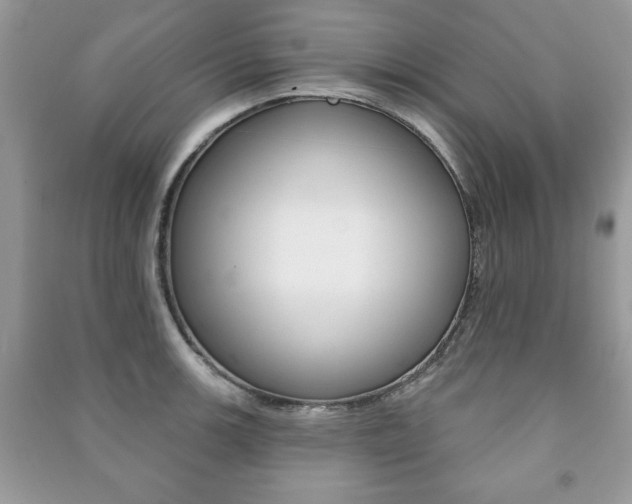 X0000091171139200708091018