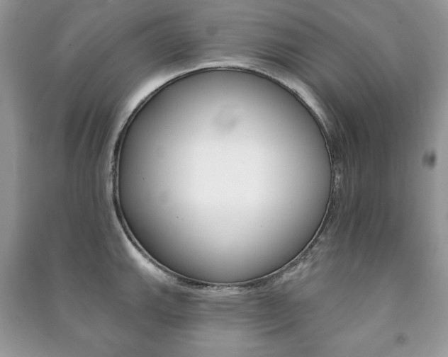 X0000091171143200708091018