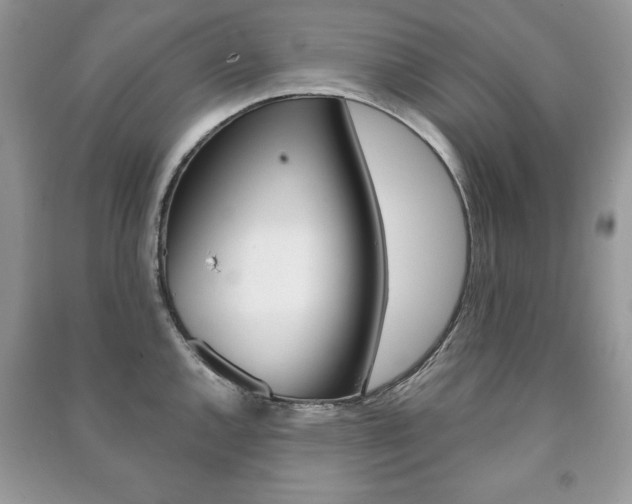 X0000091171144200708091018