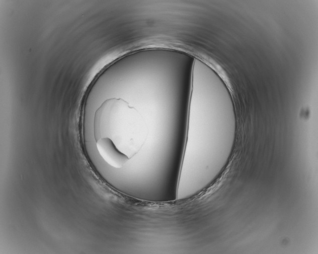 X0000091171146200708091018