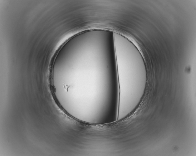 X0000091171147200708091018