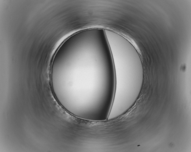 X0000091171148200708091018
