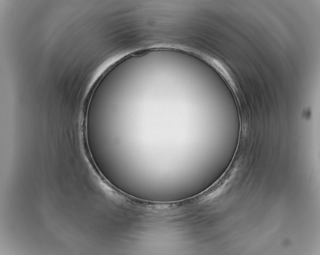 X0000091171149200708091018