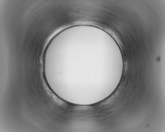 X0000091171150200708091018