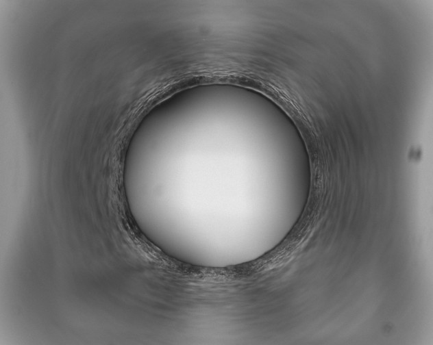X0000091171153200708091017