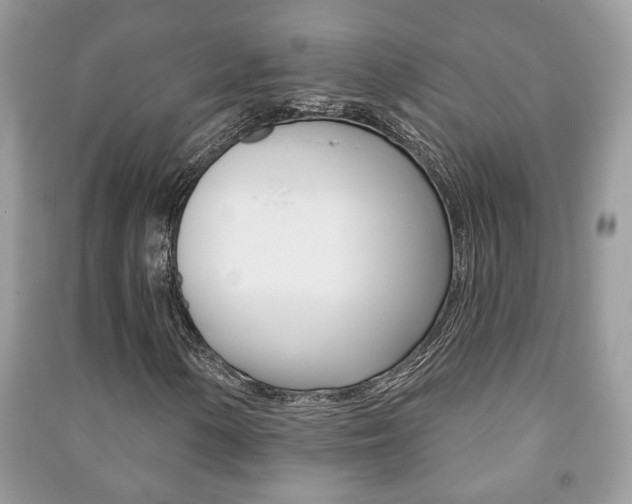 X0000091171154200708091017