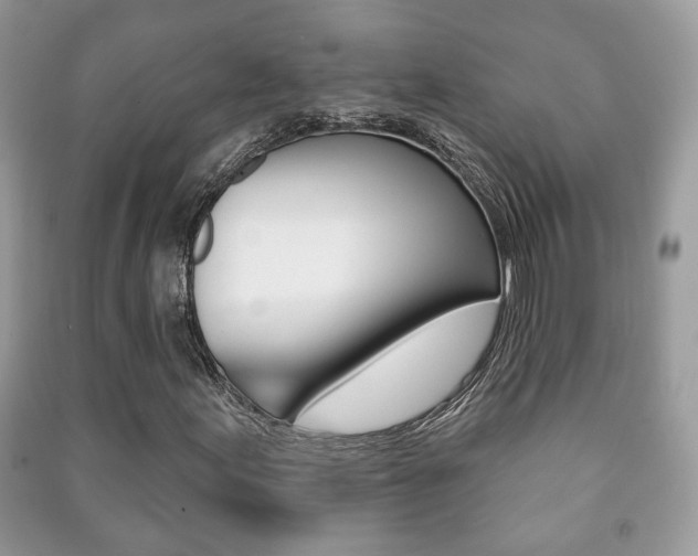 X0000091171155200708091017