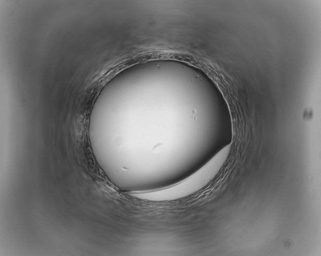 X0000091171157200708091017