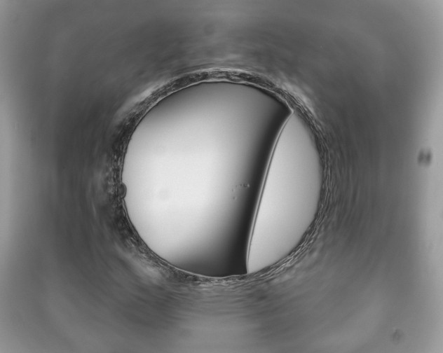 X0000091171159200708091017