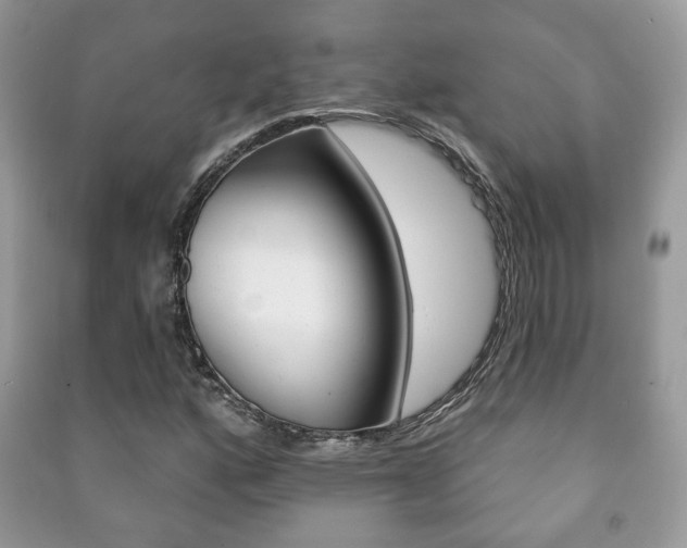 X0000091171160200708091017