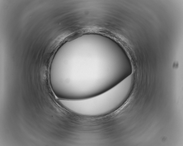 X0000091171161200708091017