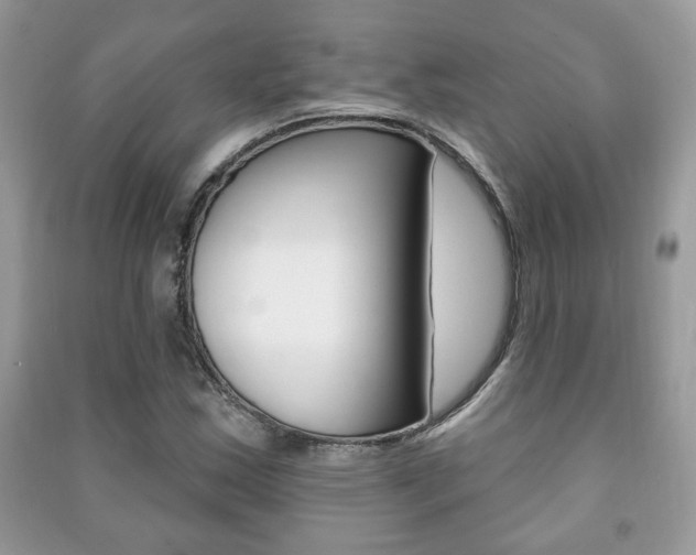X0000091171163200708091017