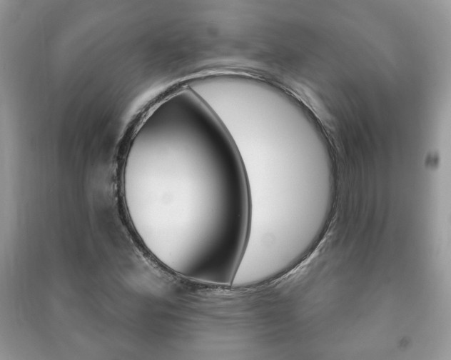 X0000091171164200708091017