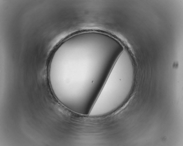 X0000091171167200708091017